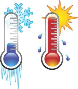 Temperature effect on enzyme activity