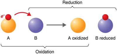 Redox reaction: electron transfer