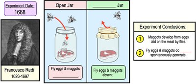 Redi's experiment with open and covered jars
