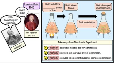 Needham's experiment and its flaws