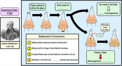 Spallanzani's experiment with sealed and cracked flasks