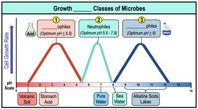 Growth pH classes of microbes