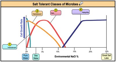 Salt tolerant classes of microbes