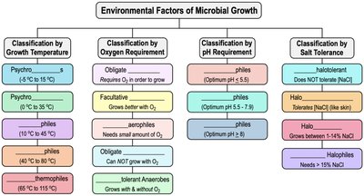 Summary table of environmental factors