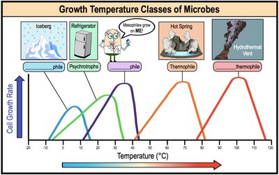 Growth temperature classes of microbes