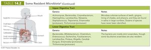 Table of resident microbiota in digestive tract