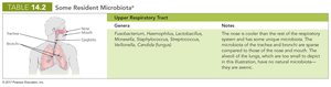 Table of resident microbiota in respiratory tract