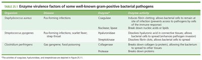 Table of enzyme virulence factors