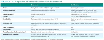 Table comparing exotoxins and endotoxins