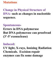 Summary of mutation types and causes