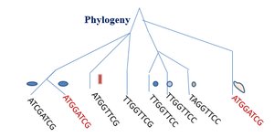 Detection of horizontal gene transfer events