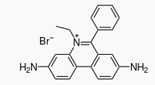 Structure of ethidium bromide, an intercalating agent