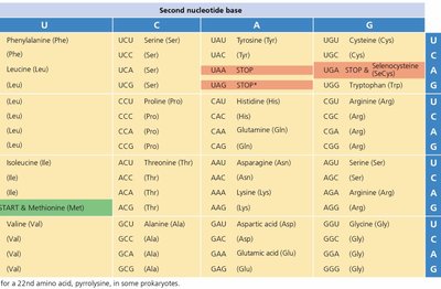 Genetic code table