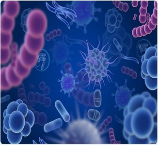 Artistic representation of various microbes