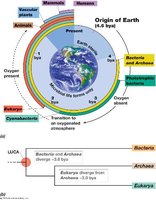 Origin of Earth and 3 Domains of Life