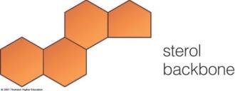 Sterol backbone structure