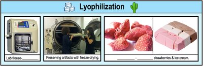 Lyophilization methods