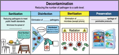 Decontamination and related terms