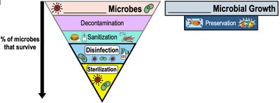 Hierarchy of microbial growth control terminology