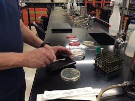 Sampling cell phone for microorganisms
