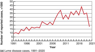 Graph of Lyme disease cases over time