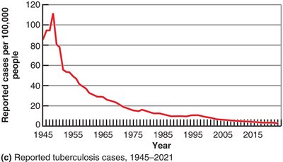 Diagram of types of epidemiology
