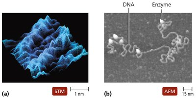 STM and AFM images showing surface details at the atomic level