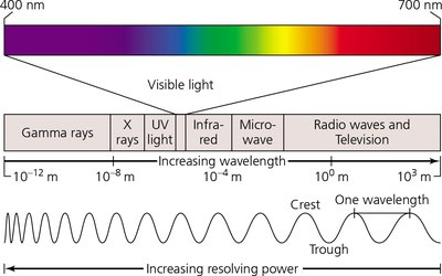 The electromagnetic spectrum, showing visible light and wavelength