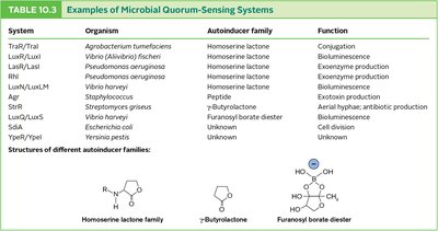 Table of microbial quorum-sensing systems and autoinducers
