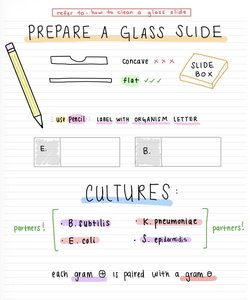 Instructions for preparing and labeling a glass slide, including organism pairing and culture selection