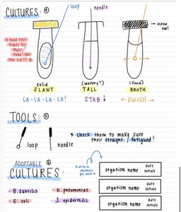 Illustration of different culture media (slant, stab, broth) and inoculation tools (loop, needle)