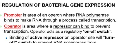 Regulation of bacterial gene expression: promoter and operator