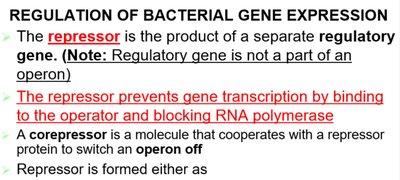 Active and inactive repressors in gene regulation