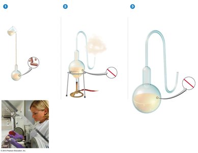 Pasteur's experiment disproving spontaneous generation