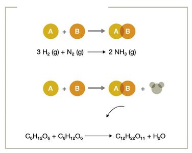 Dehydration synthesis reaction
