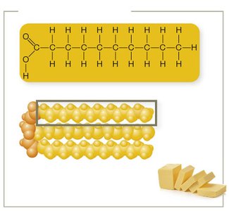 Saturated fat structure