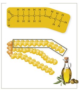 Unsaturated fat structure