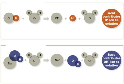 Acid and base reactions in water