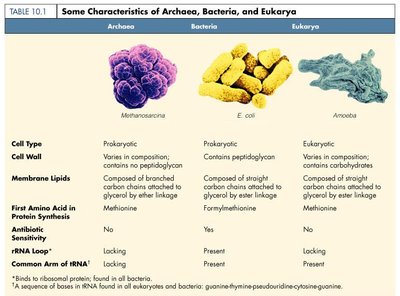 Table comparing characteristics of Archaea, Bacteria, and Eukarya