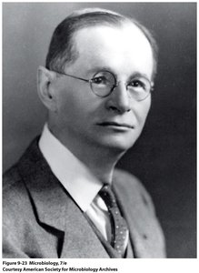 Portrait of a scientist associated with Bergey's Manual
