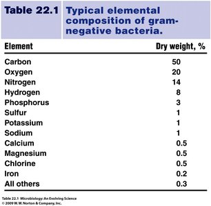 Typical elemental composition of gram-negative bacteria