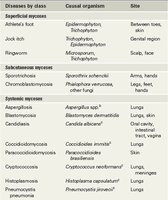 Table of major pathogenic fungal diseases
