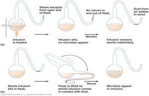 Pasteur's swan-neck flask experiment