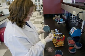 Scientist working with petri dishes in a microbiology laboratory