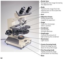 Comparison of microscope types and their resolving power