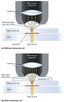 Effect of immersion oil on microscope resolution