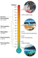 Thermophiles and extreme thermophiles environments