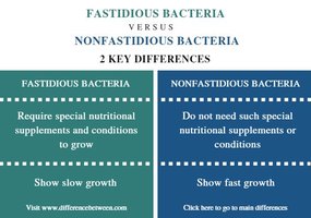 Fastidious vs. nonfastidious bacteria