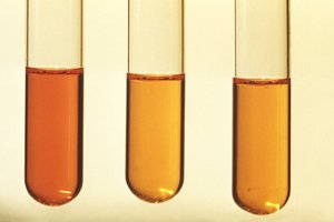 Broth media in test tubes