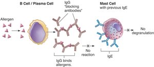 Immunotherapy mechanism for allergy prevention